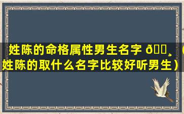 姓陈的命格属性男生名字 🌸 （姓陈的取什么名字比较好听男生）